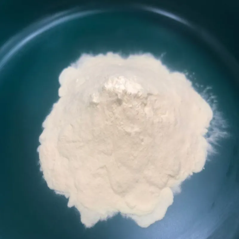 Hvordan understøtter hydrolyseret vegetabilsk proteinpulver moderne fødevareinnovation?
